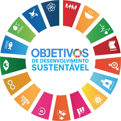 Logo dos Objetivos de Desenvolvimento Sustentável